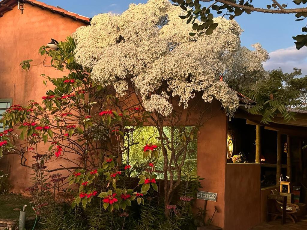 Pousada Refugio Da Serra Pirenópolis Exteriér fotografie